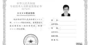 中国人事考试网2021年环境影响评价工程师电子证书有关说明